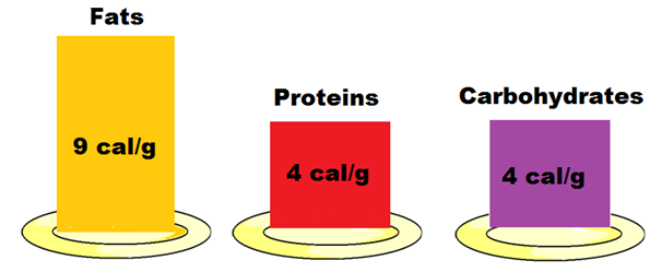 Comparison of calories in carbohydrates and fats